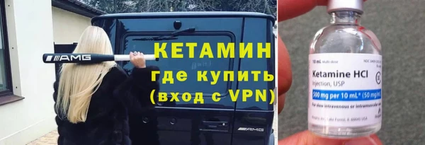 сатива Верея