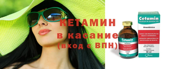 сатива Верея