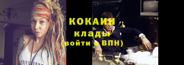 сатива Верея