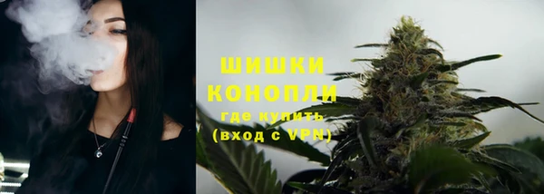сатива Верея