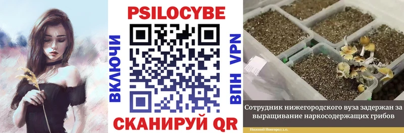 Галлюциногенные грибы мухоморы Геленджик